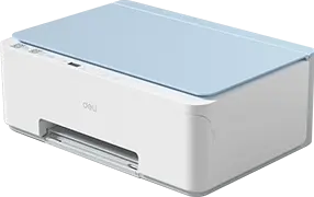 D516W