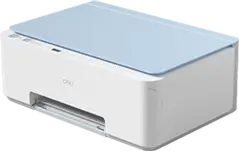 D516W
