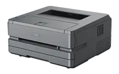 P3100DNW