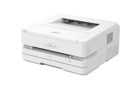P2500DW