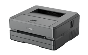 P3100DNW