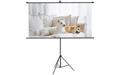 Projector Screen