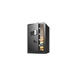 Commercial Safe