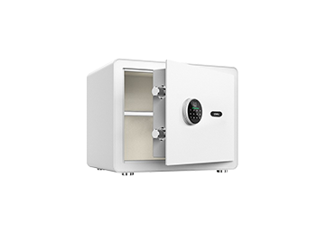 Household Safe