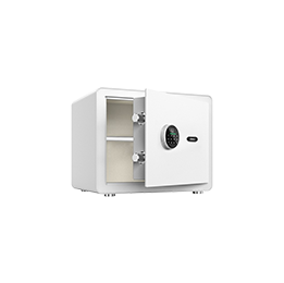 Household Safe