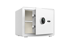Household Safe